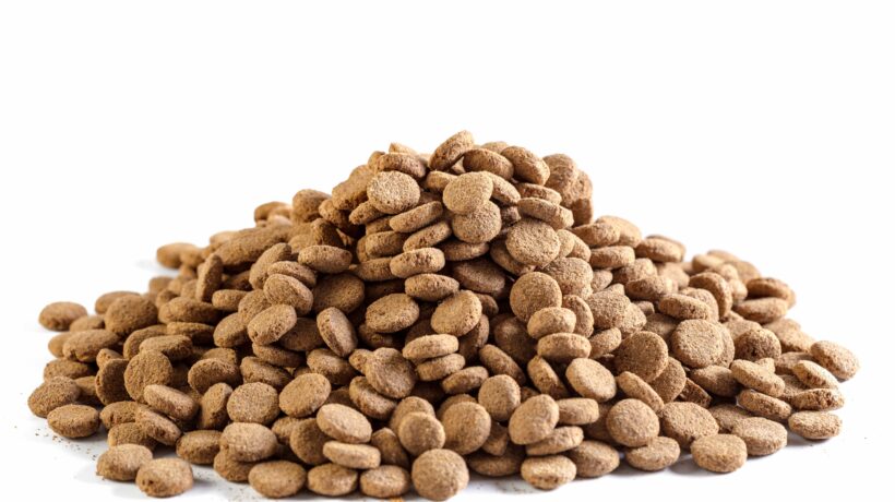 dry dog food isolated on white background