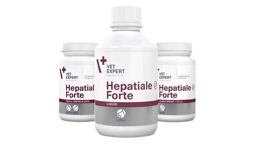 hepatiale_liver