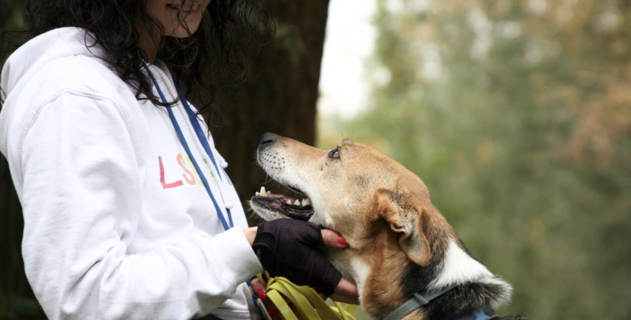 A dog is what it is… or is it, really?